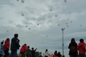 img-20161119-wa0016